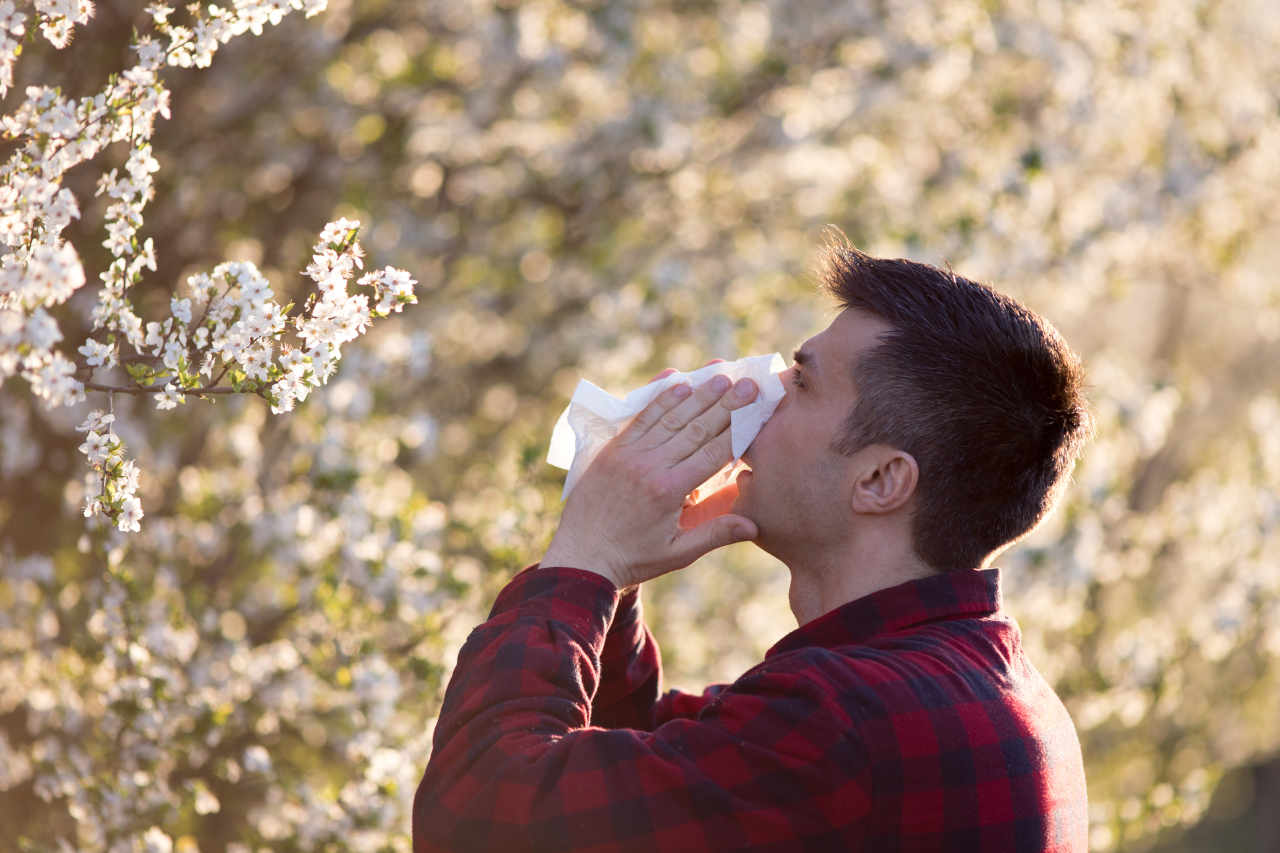 Učinkovito preženite alergije z uporabo CBD kapljic